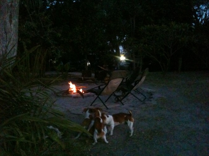 The young travelers sat in the bar and drank beer and surfed their Facebook and we older ones drank beer and sat by the fire and chatted.