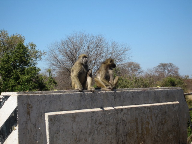 Of course you can trust us... look at our honest faces