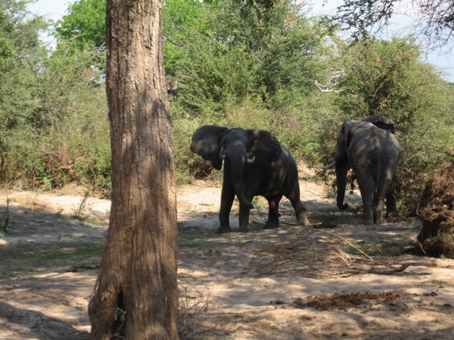 Not everyone is a KTM fan