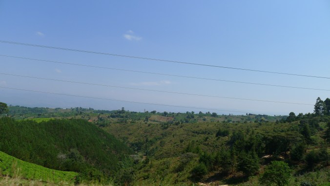 Up, down, left and right through the forested mountains