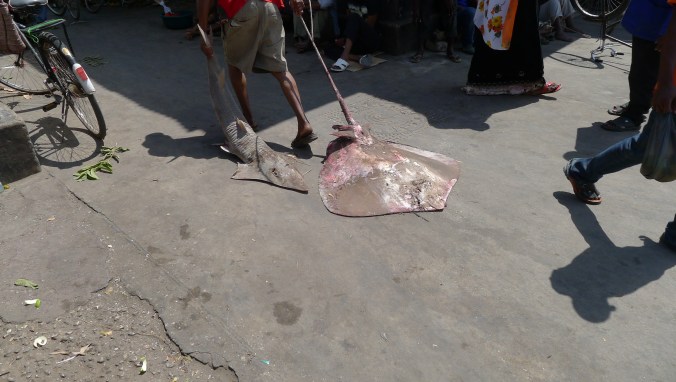 Skate boarding in Zanzibar. 