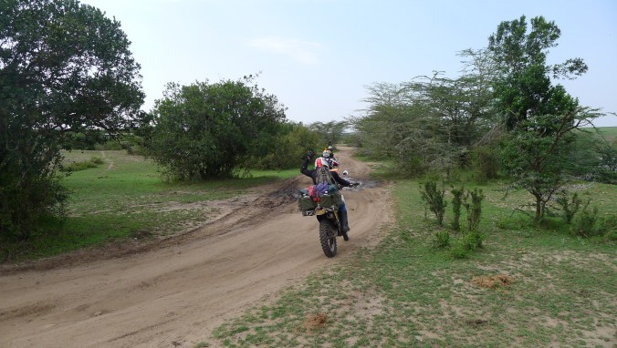 Another KTM rider in the Masai Mara