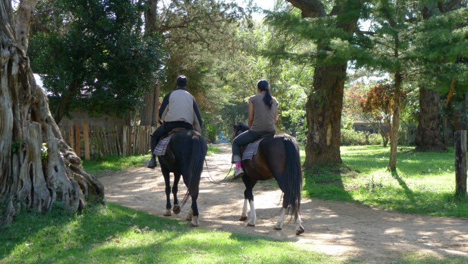 While I am climbing, Fanny is looking after the camp