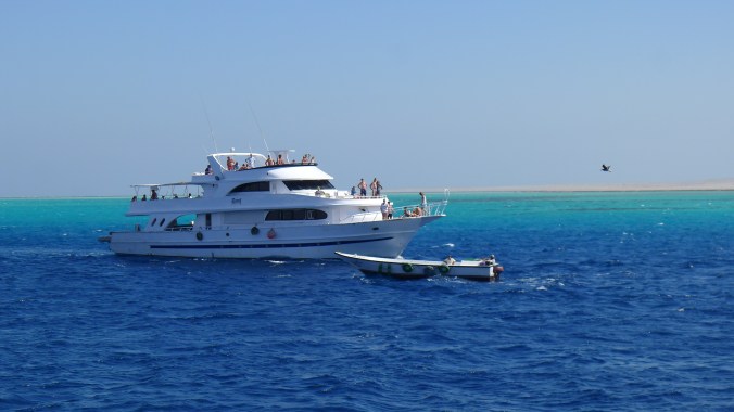 Very reasonably priced days out on a boat to go snorkeling in beautiful seas