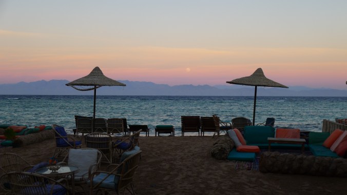 Relaxing evenings after windsurfing or snorkeling. I could snorkel for hours and often did.. immersed in a parallel universe of strange and beautiful creatures. I later learnt to scuba dive, but I far preferred the peace and unencumbered freedom of snorkeling. And the Red Sea is one of best places to do it. 