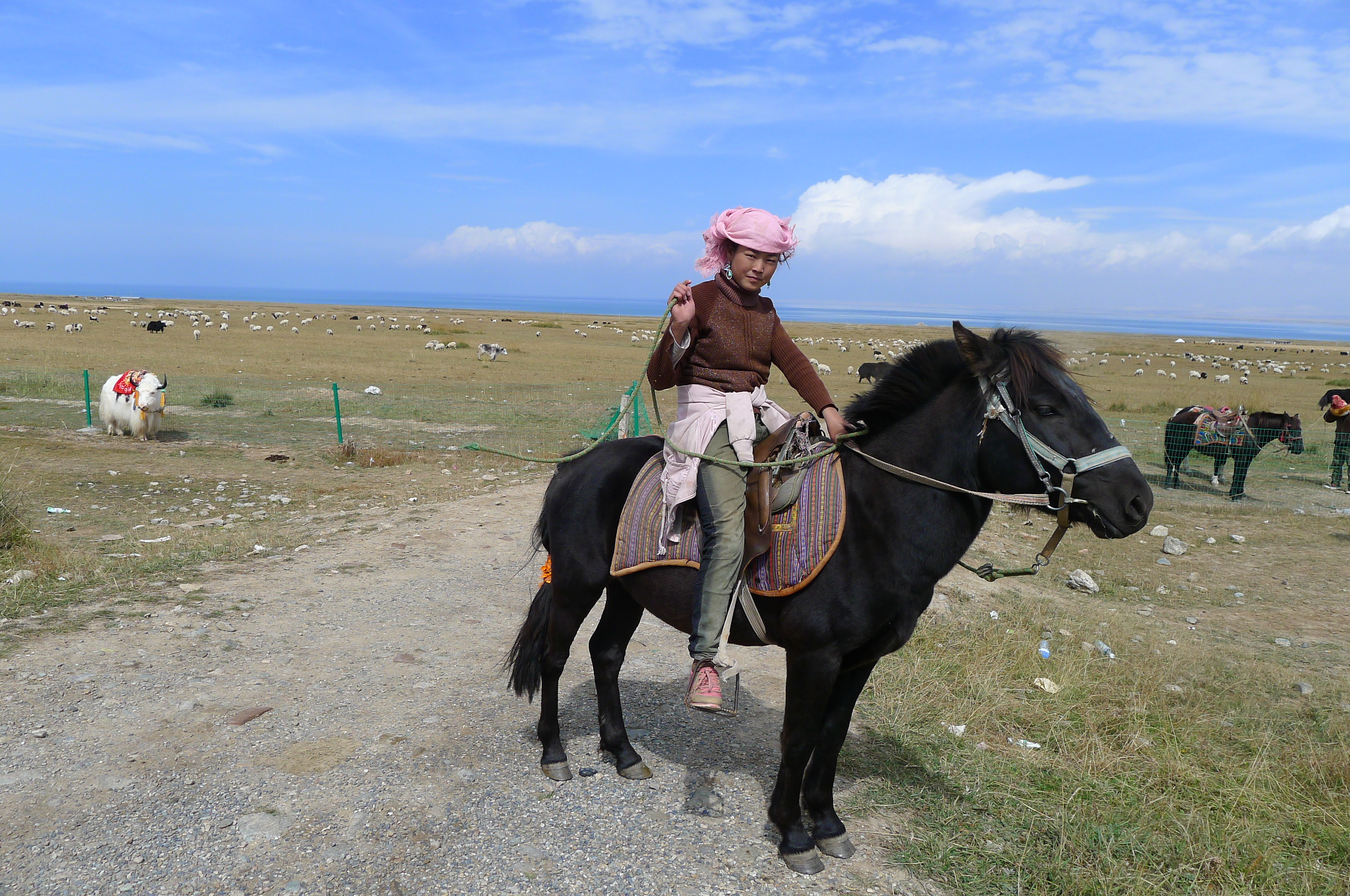 Tibetan girl on a pony 