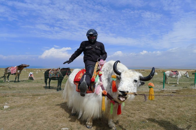 "Yeah! - Go On... slap me on the arse and see what happens"