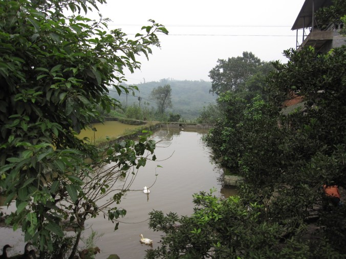 We rode around lost for several hours, but it was true magical mystery tour of middle earth.