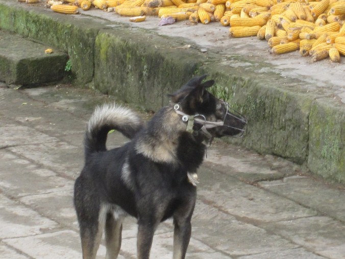 or I'll eat your liver with some fava beans and a nice chianti