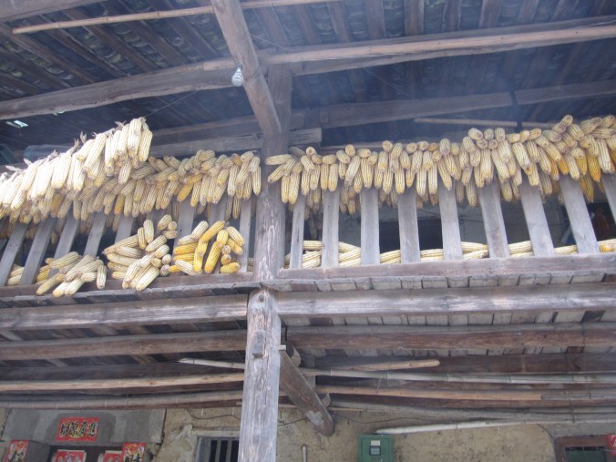 I hope you like corn on the cob.