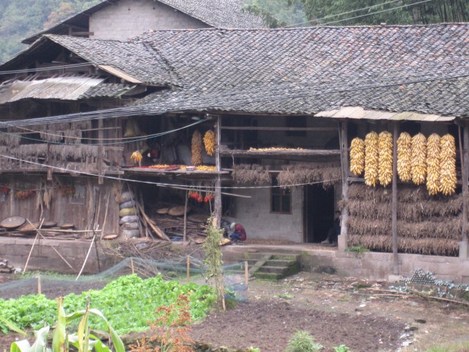 One of the first humans we had seen for a while. Not often you can say that in China. 