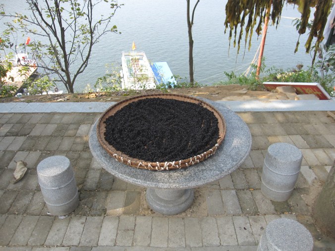 Drying a kind of fungi in the sun for cooking