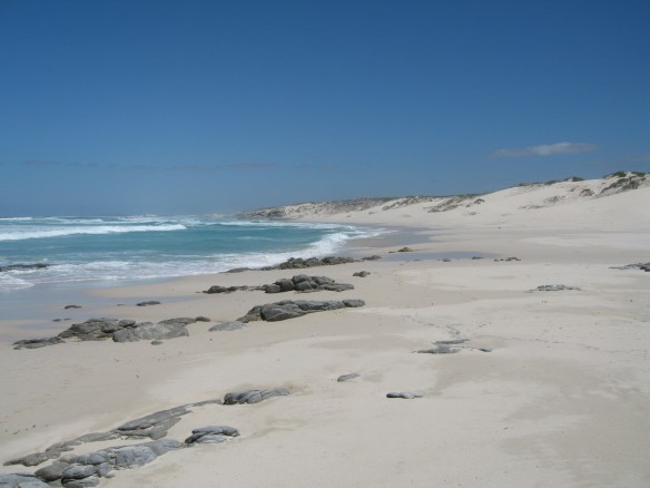 Arniston May 2006 078