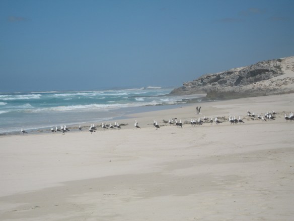 Arniston May 2006 090