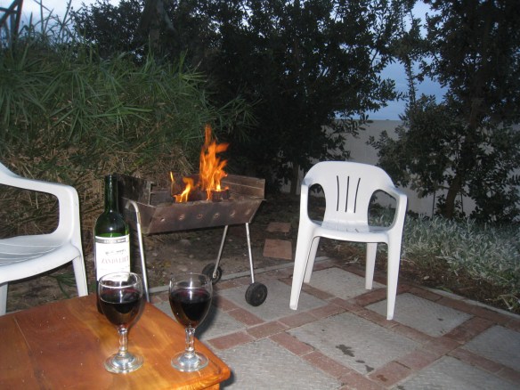 South Africa 2010 093