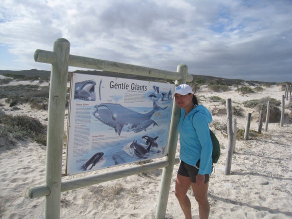 South Africa 2010 140