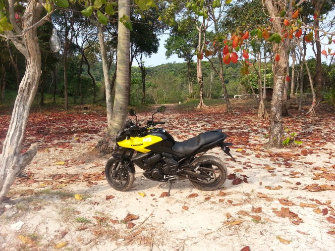 Time for a poo ... this'll doo