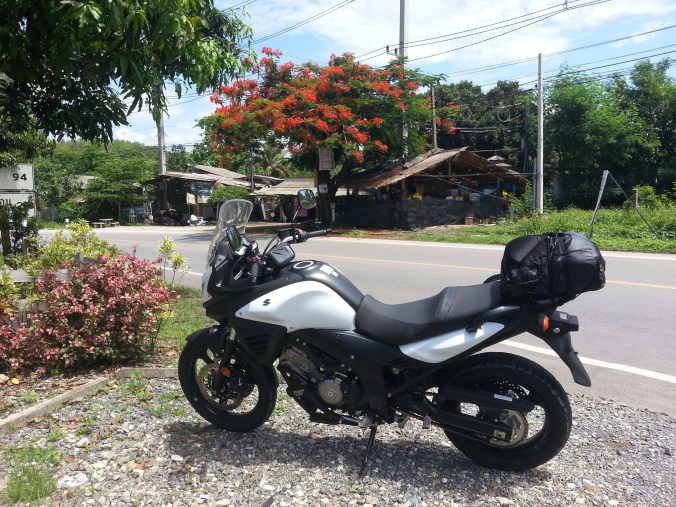 On the road .. Suzuki V-Strom 650